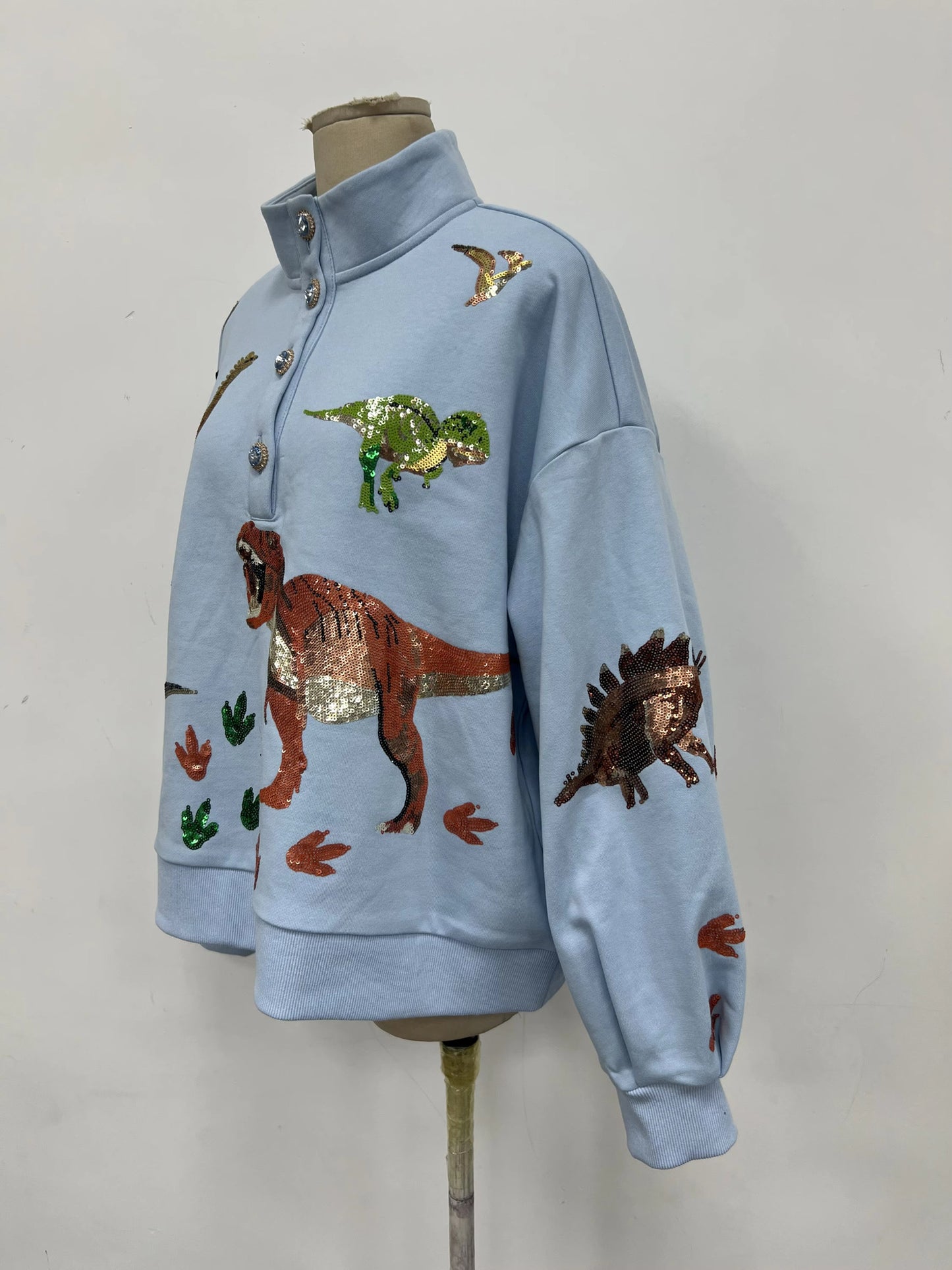 DINOTASTIC Henley sequin pullover