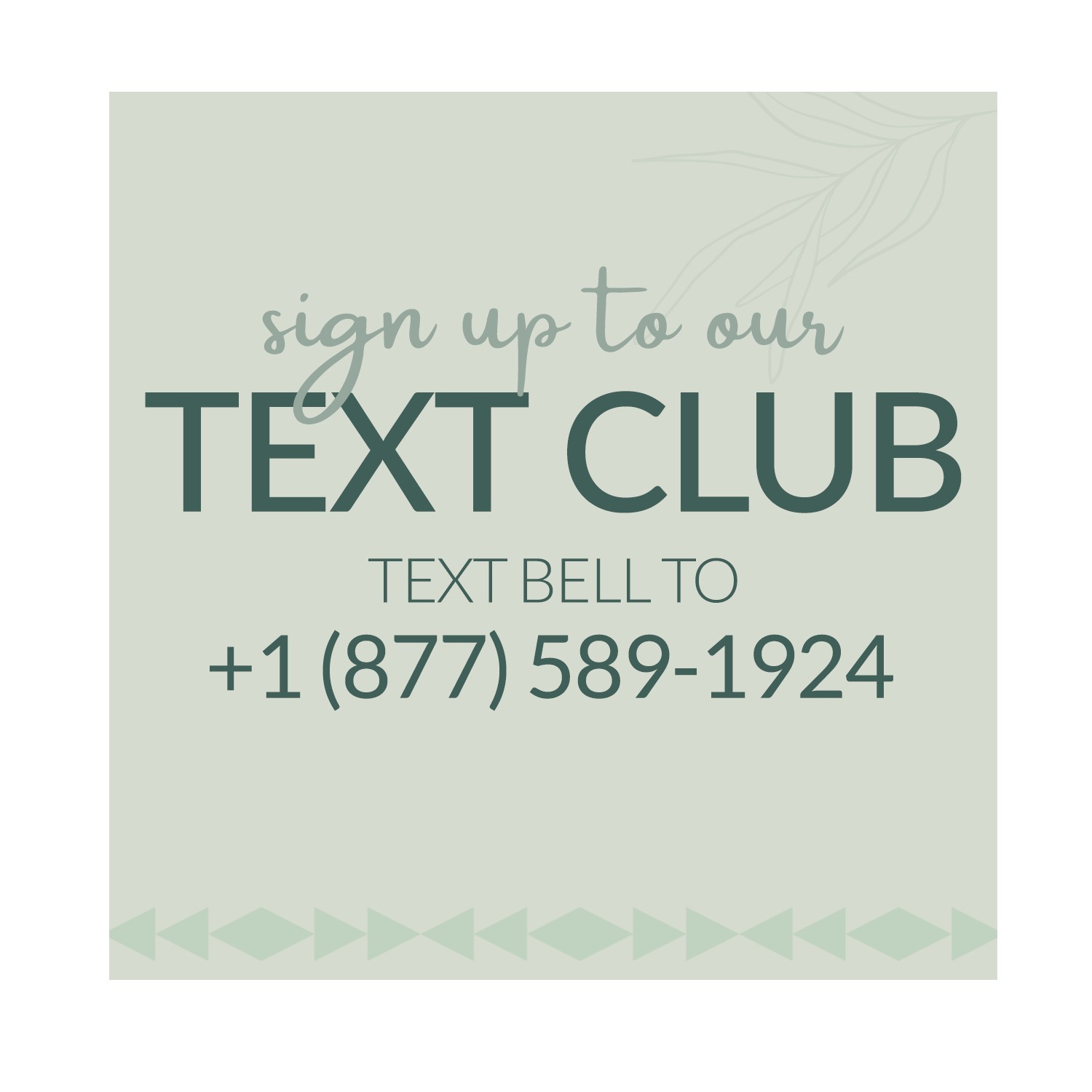 Sign up to our text club. Text BELL +1(877)5891924