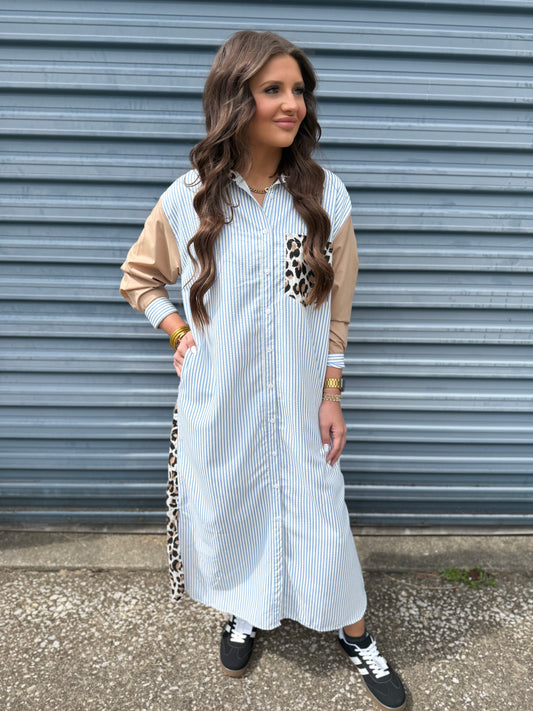 Wild Stripe Button Down Dress