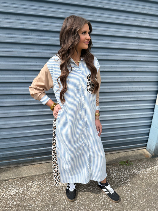 Wild Stripe Button Down Dress