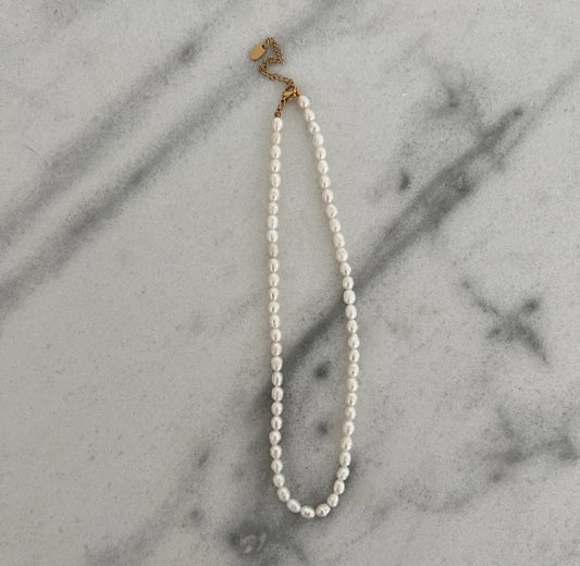 Everyday pearl necklace Chansutt