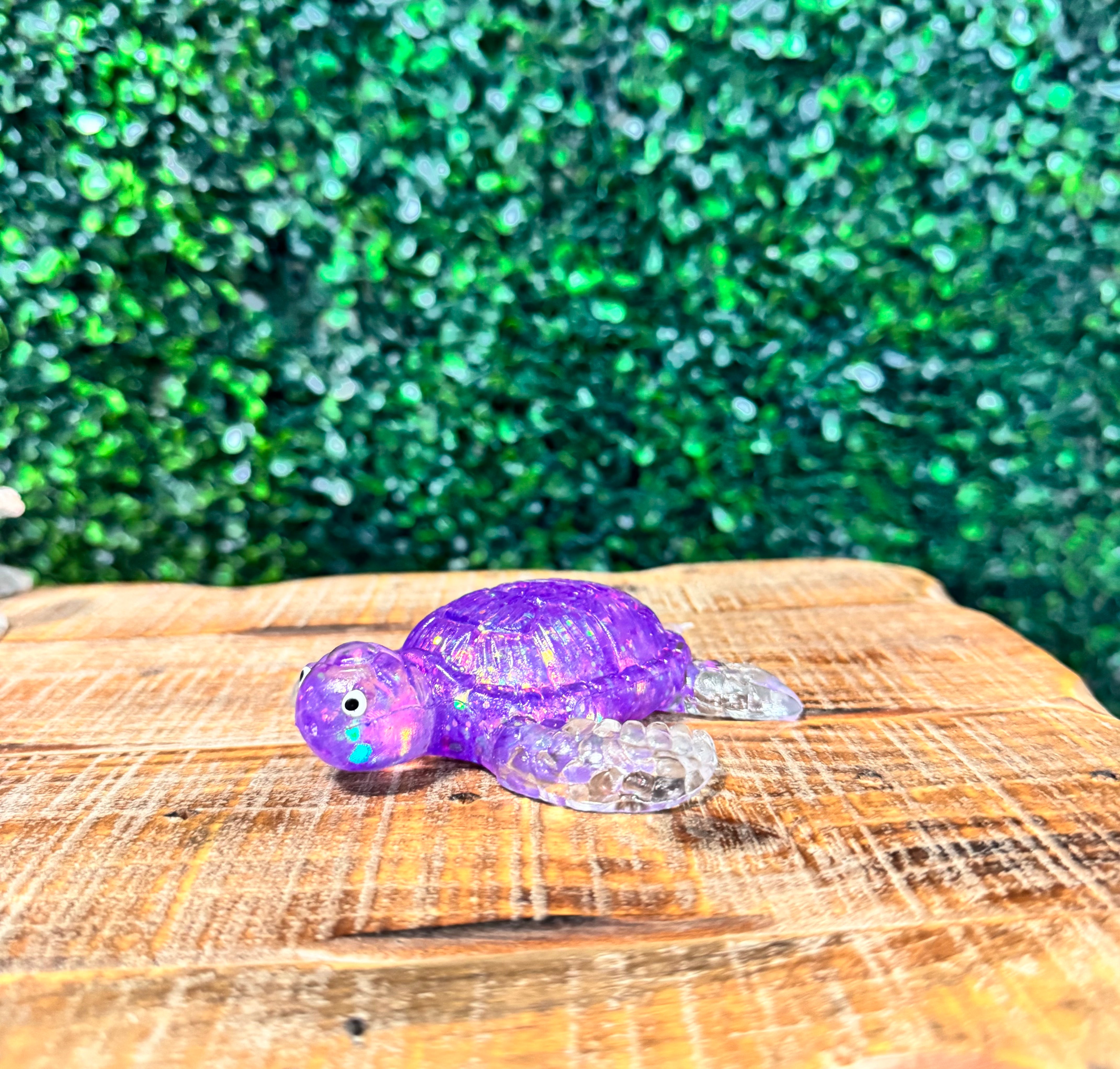 Squishy Turtles