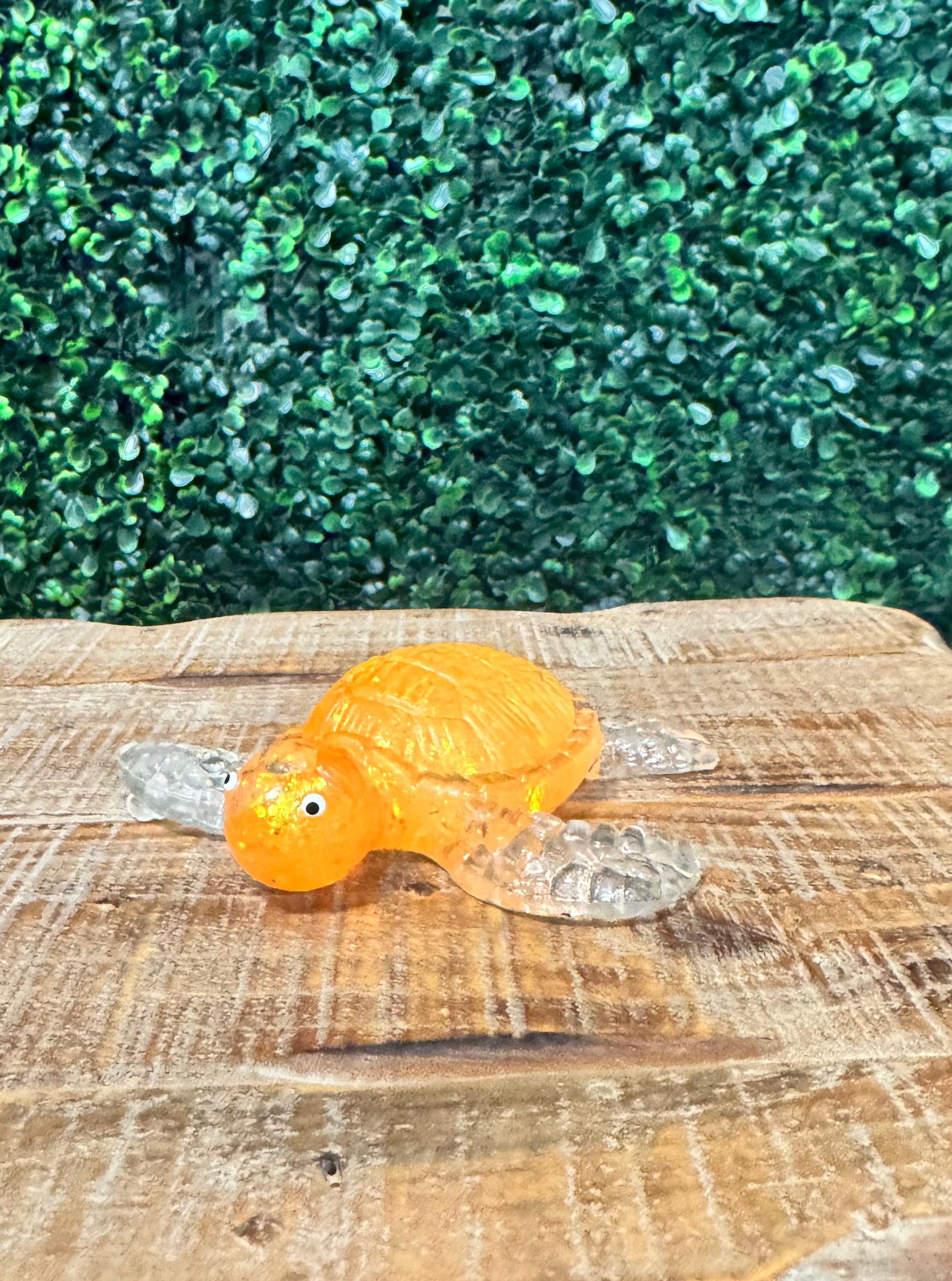Squishy Turtles